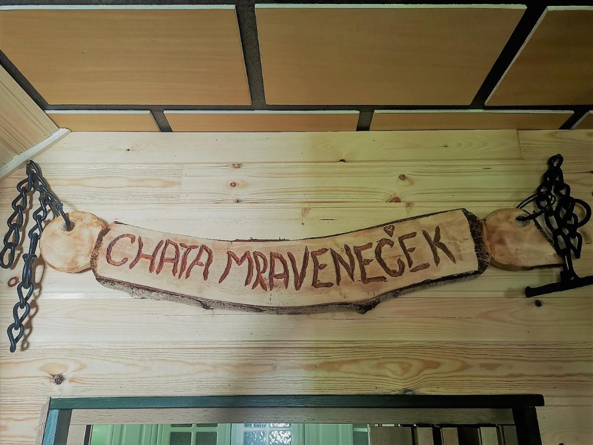 Mravenecek